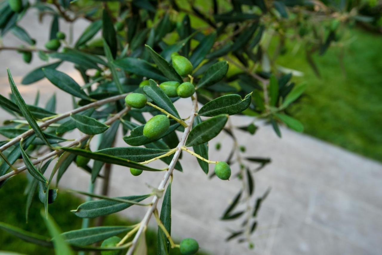 Peraía Olive 303 아파트 외부 사진